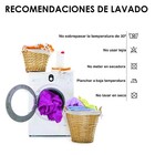 Imagen 31 de 31