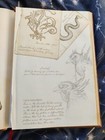 Picture 8 of 12