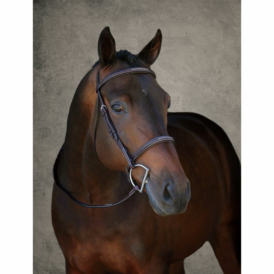 Nuevo Vespucci Fancy planteado Hunter Brida-Caballo Marrón Nuevo Vespucci Fancy planteado Hunter Brida-Caballo Marrón