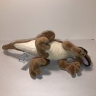 Foto 5 di 8