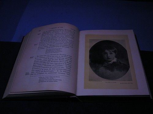 A History Of The Nineteenth Century Year By Year Edwin Emerson Jr. 1900 Volume 2 - Picture 6 of 19