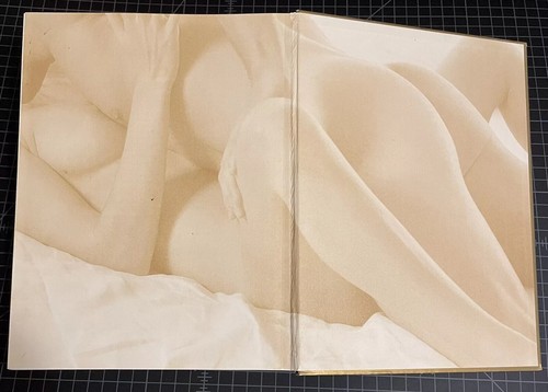 The Good Sex Bible: Over 1000 Photographs - How To Make Love - Hardcover - Bild 5 von 6