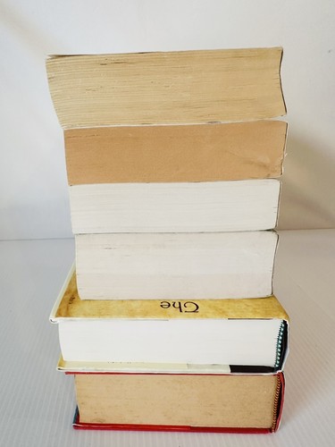 Edward Rutherford Posten von sechs Taschenbüchern historische Belletristik - Bild 7 von 22