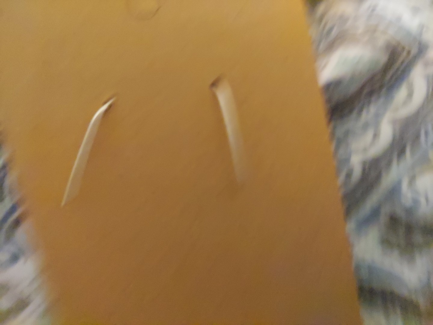 Picture 3 of 3