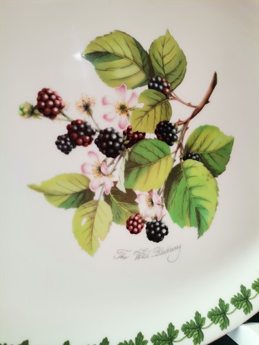 Portmeirion Fire & Ice Botanic Garden Oval Side Plates Wild Blackberry Dining  - Picture 4 of 10