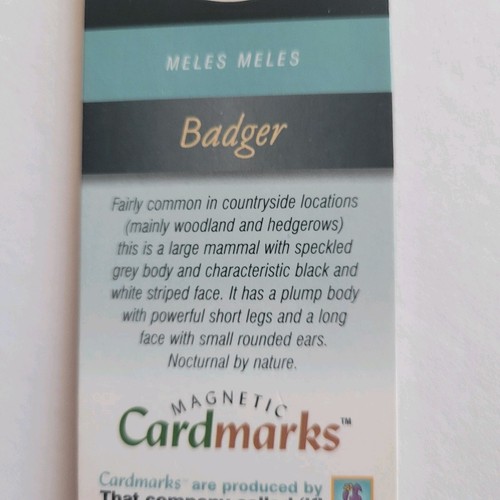 Cardmarks Badger Meles Wild Animals Magnetic Magnet UK Company If #2405, Y2k 00s - Imagen 9 de 17