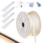 DELight 100FT Warm White LED Strip Neon Rope Lights with 10Pcs Clear