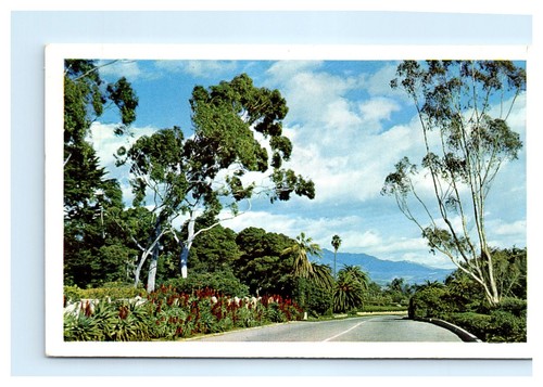 AK: CHANNEL DRIVE, SANTA BARBARA - Bild 1 von 2