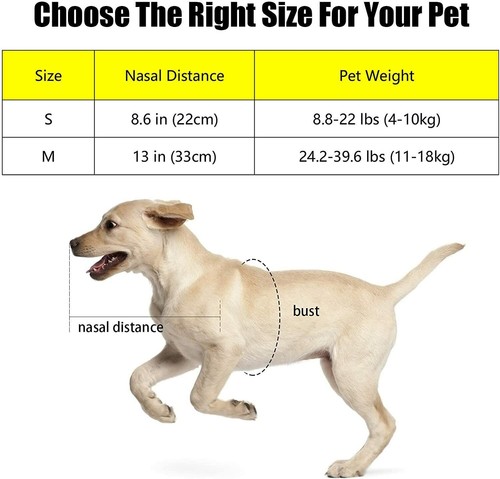 Blind Dog Harness Pet Guiding Device Dog Halo Anti-Collision Ring for Bind Pets - Bild 3 von 8