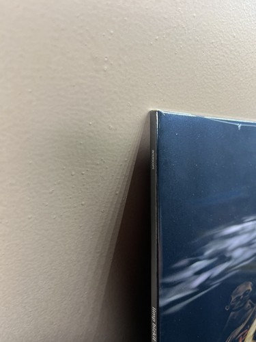 Limp Bizkit  - Chocolate Starfish BONE/GOLD vinyl 2xLP record NEW - Bild 8 von 12