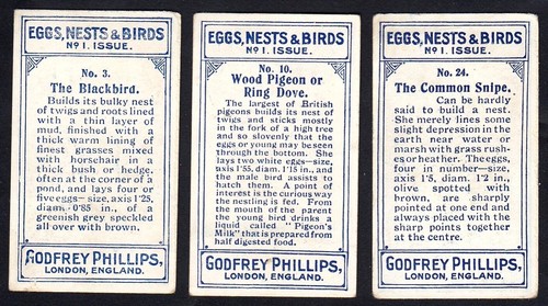 Phillips Cigarette Cards - Eggs, Nests & Birds - 3.10.24 - Picture 2 of 2