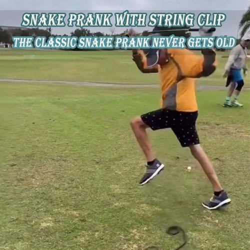 Tricky Prop Snake Prank with String Clip Golf Snake Prank Gag for Adults Kids - Bild 7 von 22
