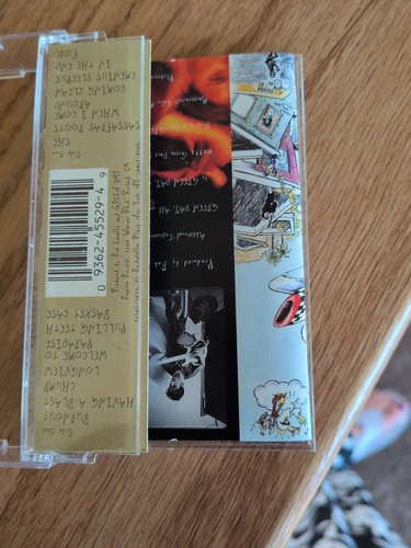 Green Day Dookie Cassette Tape (1994, Reprise Records) - Picture 16 of 21