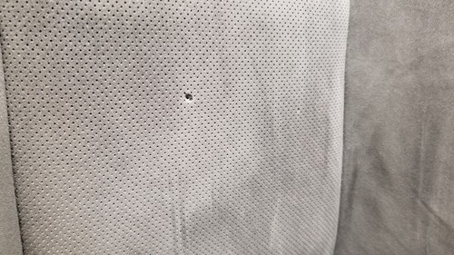 16 DODGE CHALLENGER SCAT PACK HEATED COOLED SEAT FRONT LEFT DRIVER BLACK - Picture 6 of 12