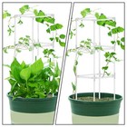 1 Set Garden Trellis Plant Support für Kletterpflanzen Blumenständer aus