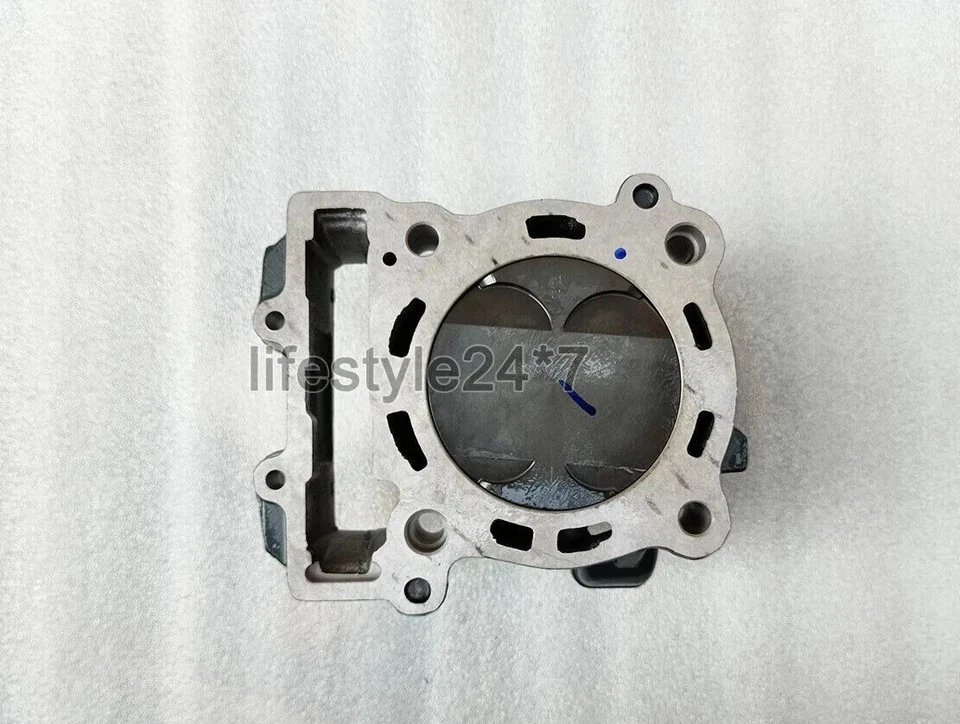 Bloque de barril de cilindro con pistón apto para KTM Duke 390 modelo 2015 a 2019 Foto 3 de 4