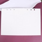  2 Pieces Loose Leaf Notebook Dot Grid Loose-leaf Paper Refill Papers