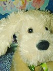 Bild 6 von 18