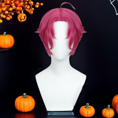 Boys Cosplay Wigs Men Women Straight Hairs NEW - Picture 6 of 19