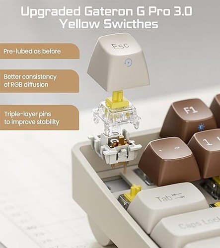 ROYALAXE R100 Mechanical Keyboard Gateron G Pro 3.0 Yellow Switch - Lava Brown - Picture 3 of 4
