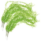 Bild 9 von 12
