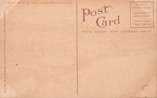 POSTCARD WHITE HORSE YUKON TERRITORY ALASKA - Picture 2 of 2