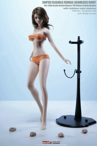 Figura PHICEN 1/6 Acero Esqueleto Mujer Busto L Sin Costuras PÁLIDO COMPLETO S40 Con Cabeza  - Imagen 1 de 3