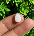 Foto 7 di 11
