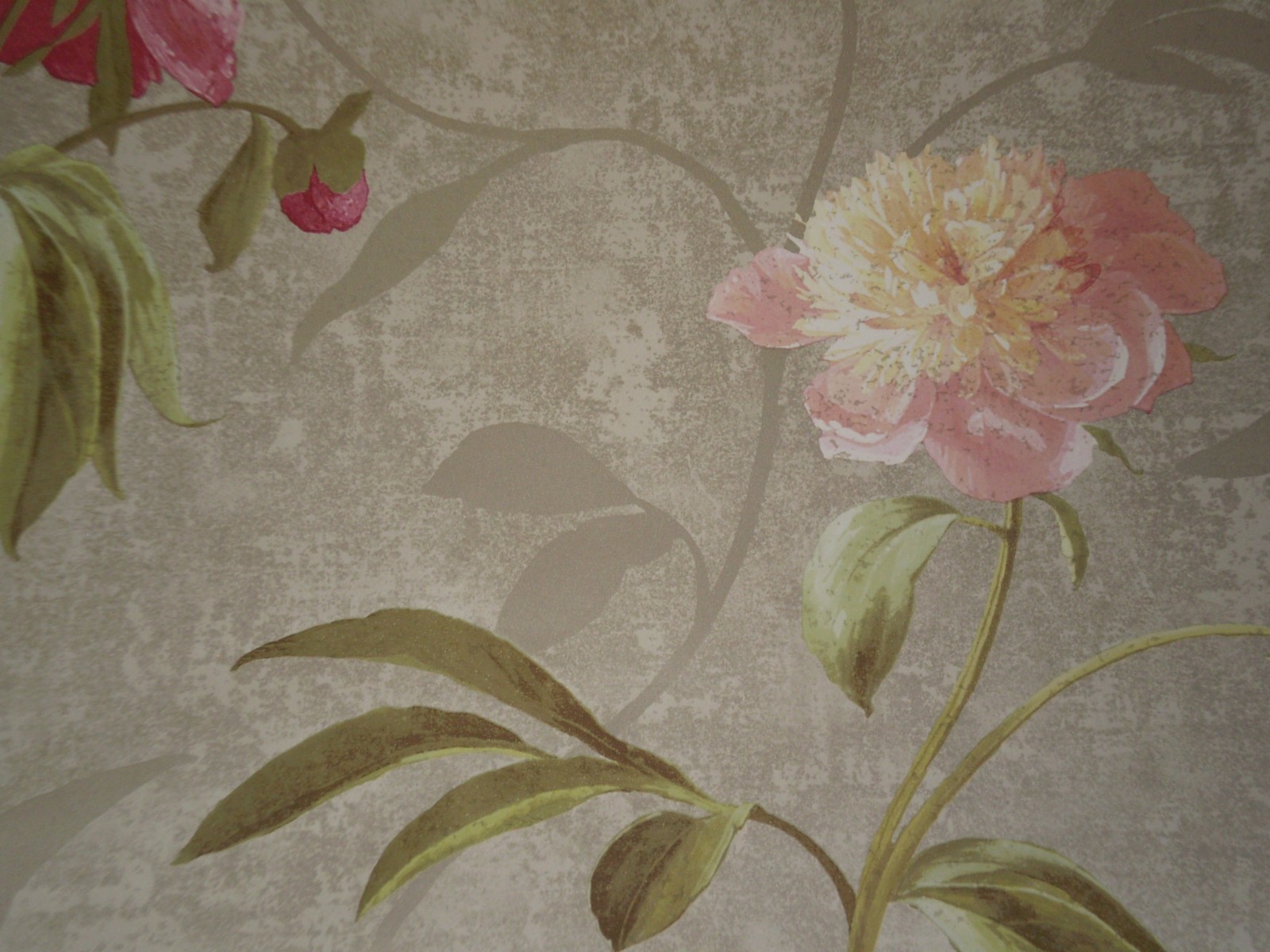 Peonies Floral Wallpaper GN2425 blooms green silver peony pink white prepasted