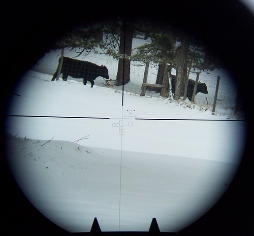 Springfield Armory 4-14x40mm Rifle Scope 223 Rangefinder 1st Focal - Picture 6 of 7