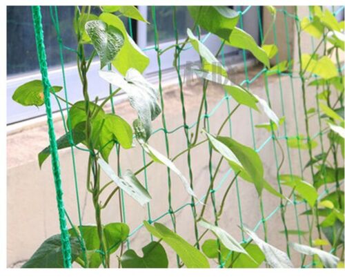 180*180 Pea Bean cucumber Climbing Net Plant climber net Garden Netting Support - Foto 2 di 13