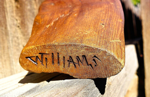 NATIVE AMERICAN / FIRST NATIONS WOOD CARVING - 10x3x2.5 inch - SIGNED "WILLIAMS" - Picture 19 of 21