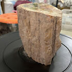 Bild 13 von 19