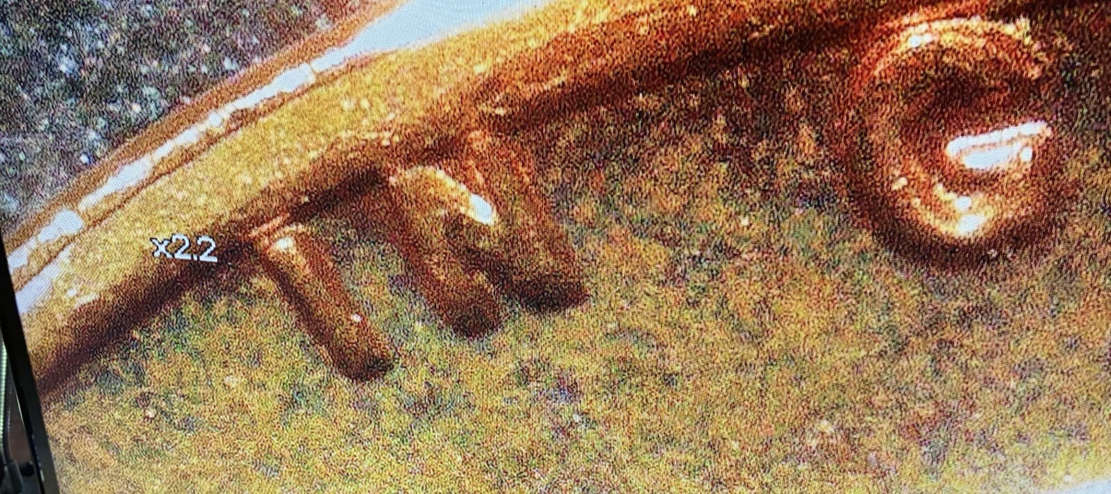 Picture 7 of 7