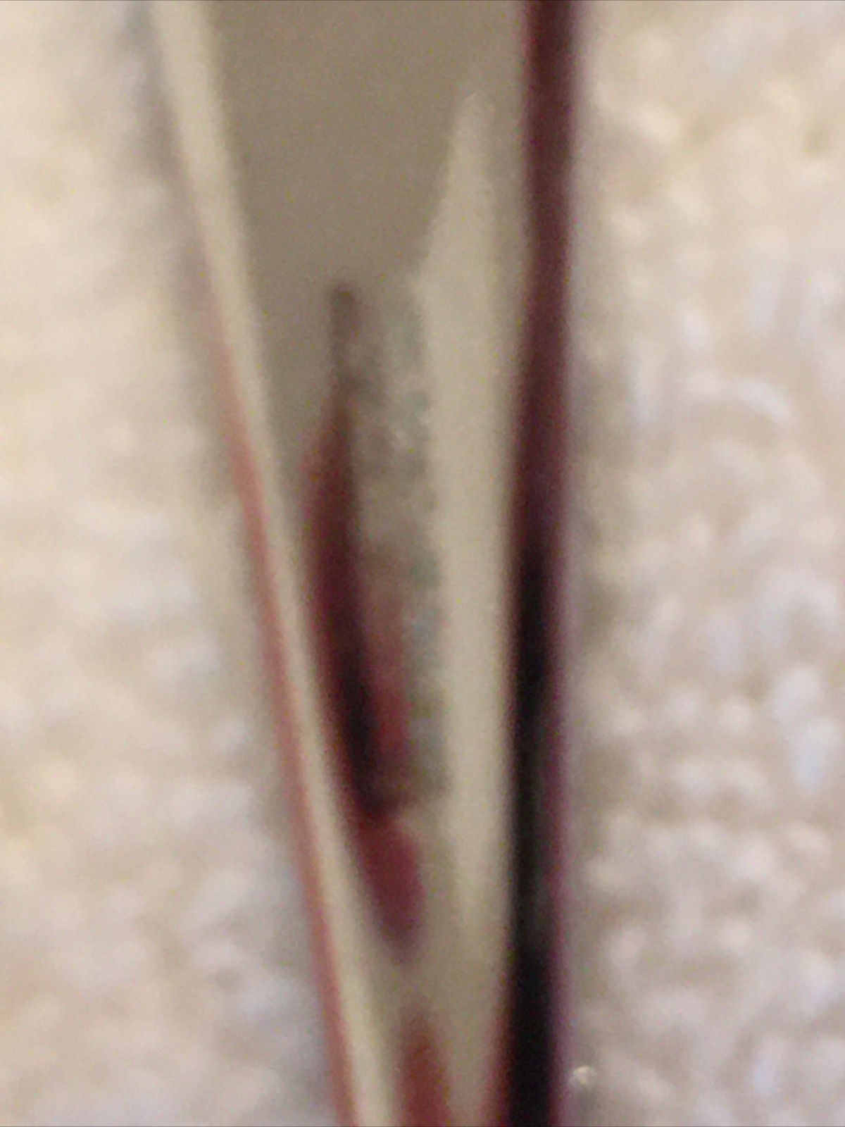 Picture 7 of 12