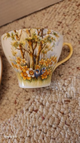 Excelente taza de té Shelley de 3 piezas, platillo y plato Daffodil Time #13370! - Imagen 2 de 10
