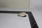 Foto 4 di 6