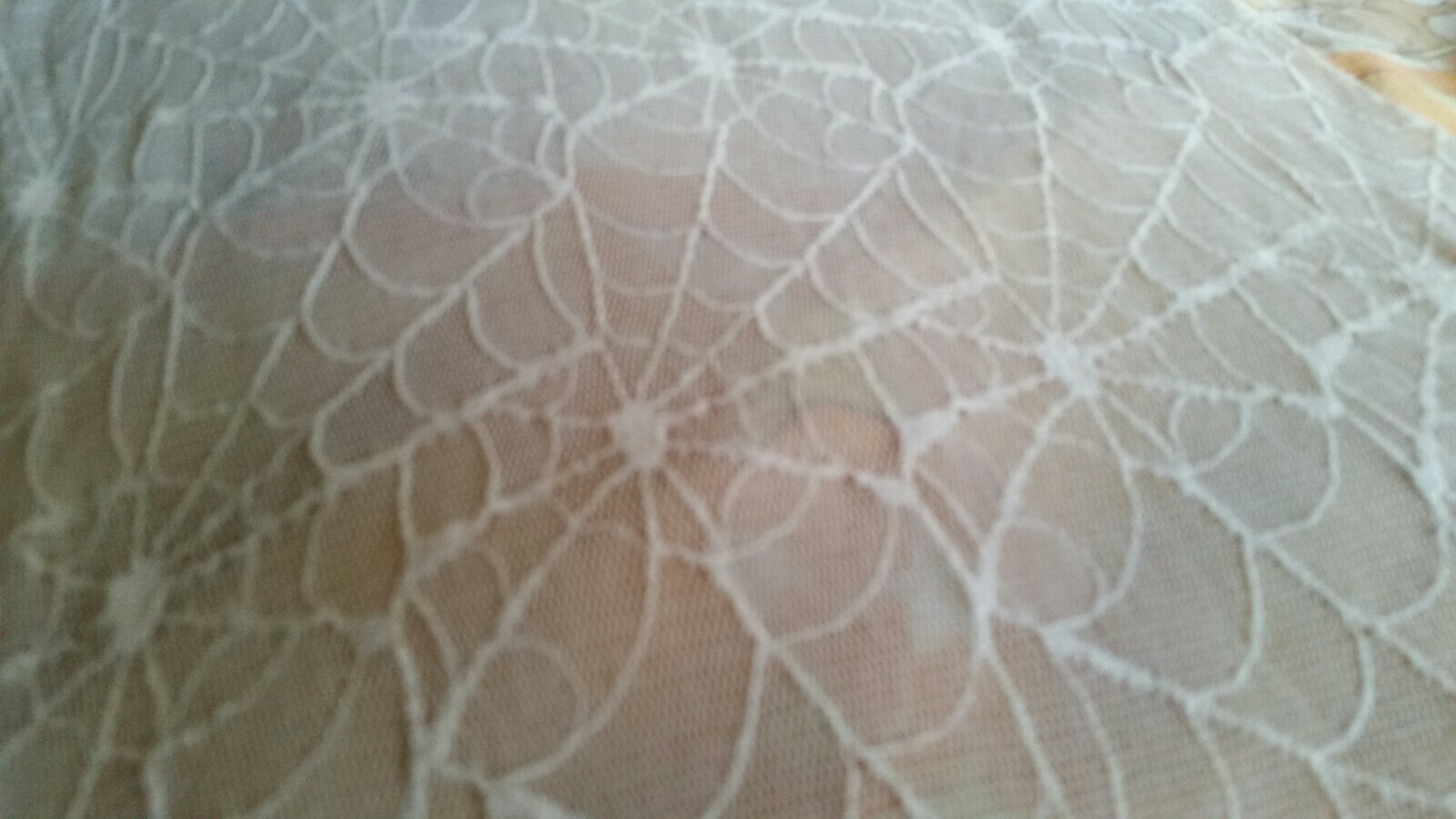 Bild 6 von 7