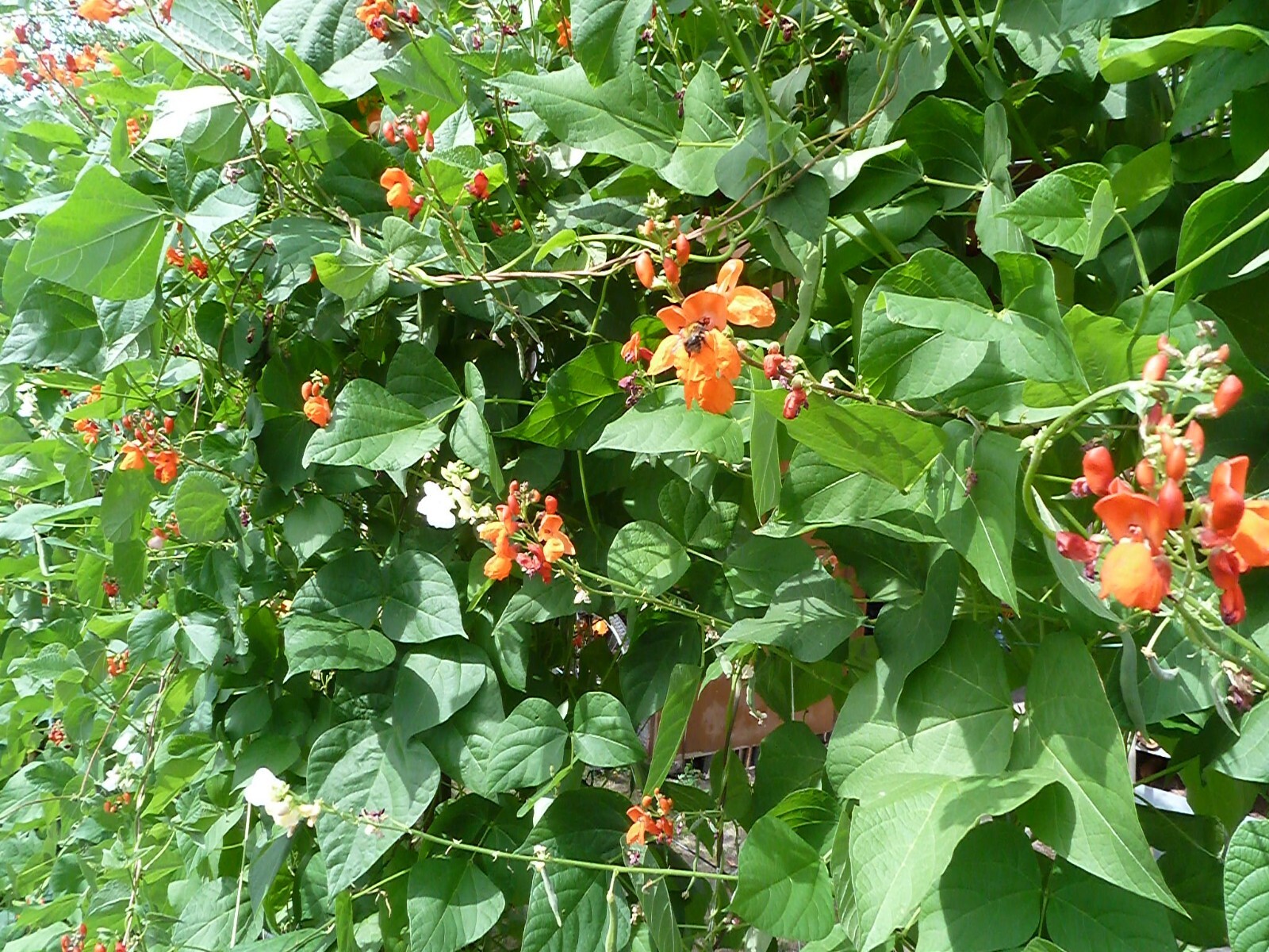 Bild 7 von 17