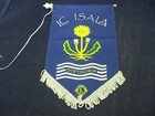 Vintage Lions Club International Banner Flag Lc Isala Doetinchem Netherlands
