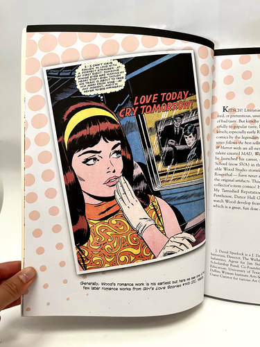 Torrid Romance Wally Wood Tapa Dura Vanguard 2014 EE. UU. 1950s cómics reimpresiones - Imagen 8 de 12