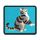 Playful Tabby Cat Domestic Shorthair Multi-Color Embroidered Iron-On Patch