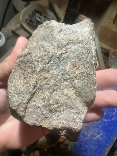 Achatisierter Utah Dinosaurier Edelstein Knochen grob ** Hxtled Endschliff. - Bild 10 von 10
