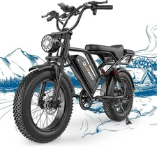 Peak 1500W Electric Off-Road Bike 20-Inch Full Suspension E-Motorcycle 48V 18Ah