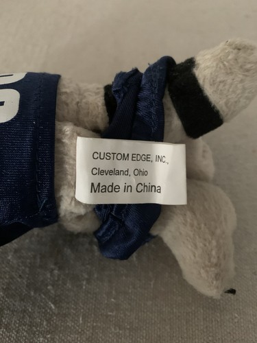 Tennessee Titans T-RAC Football Raccoon Mascot Plush KFC Sponsor Coolbeans - Picture 5 of 8