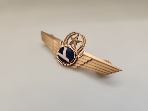Vintage Eastern Airlines Senior Pilot Wings LG Balfour GF - Picture 3 of 6