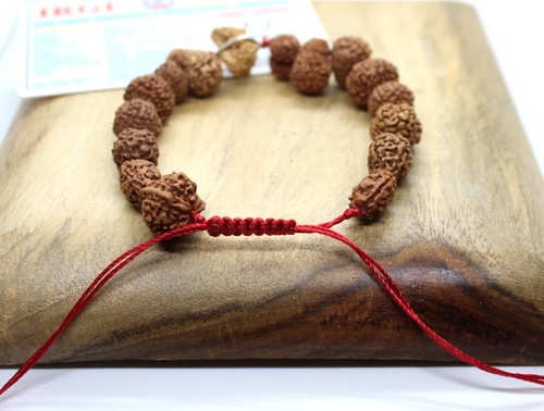 SIDHA SIDDHA SIDH MALA ARMBAND 1 BIS 14 MUKHI RUDRAKSHA GAURI SHANKAR GANESHA - Bild 5 von 5