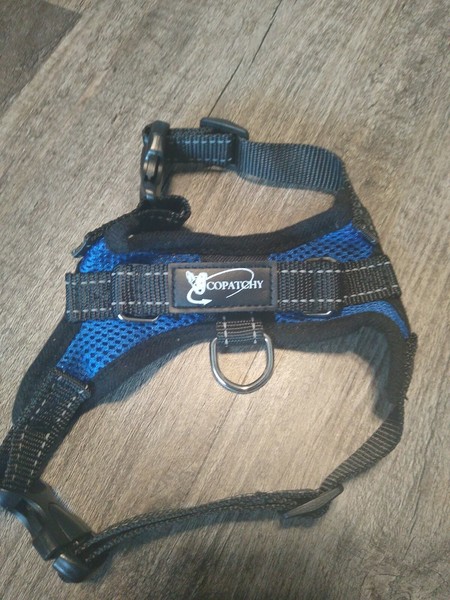 instinct small breed chicken