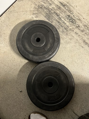 Two 25 lb standard 1” Vinyl Weight Plates - 50 lbs Set - Picture 1 of 4