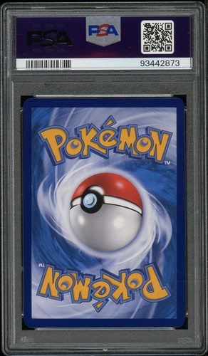 FLAREON VMAX 003/009 PSA 10 CSHC ALT ART EEVEE CONFEZIONE REGALO POKEMON CINESE - Foto 2 di 2